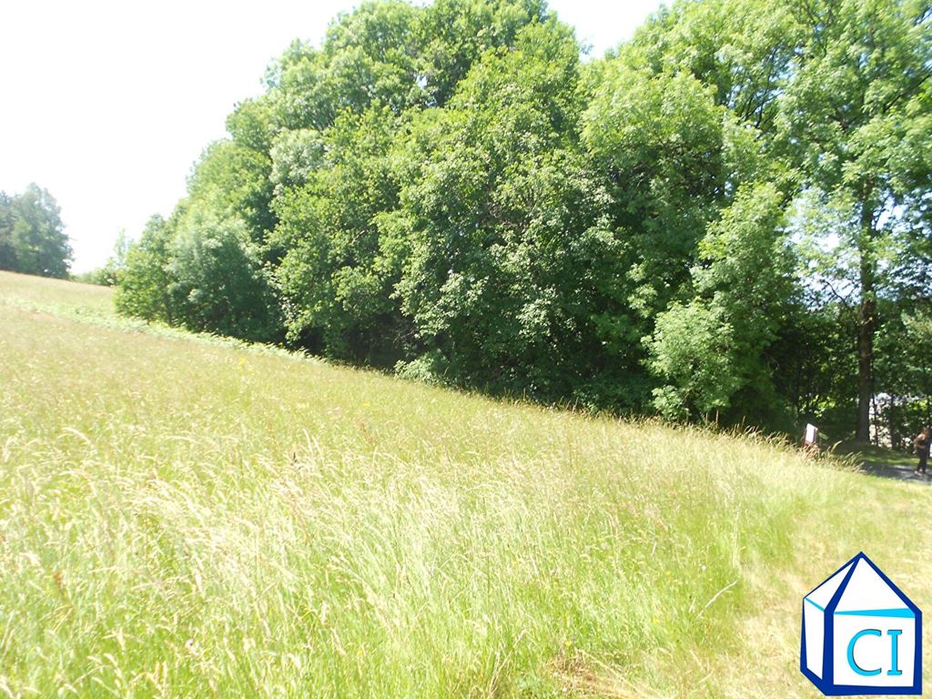 image du bien immobilier Terrain LACROUZETTE